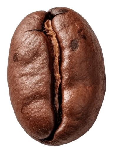 Coffee Bean