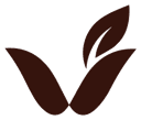 WYZE Foods emblem